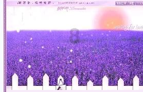 寻找迷路的女孩